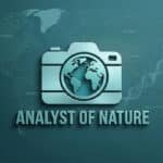 ANALYST ETERNAL